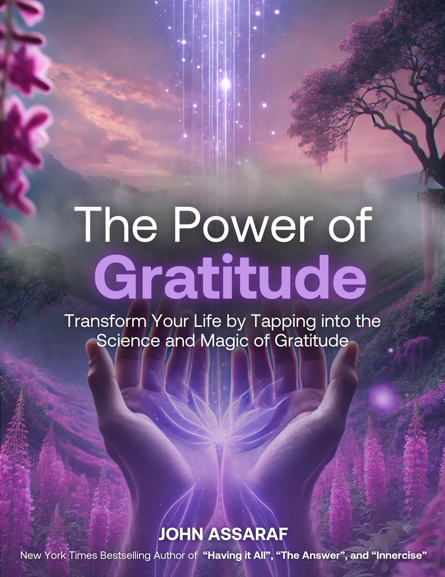 Cover of The Power of Gratitude ebook by John Assaraf